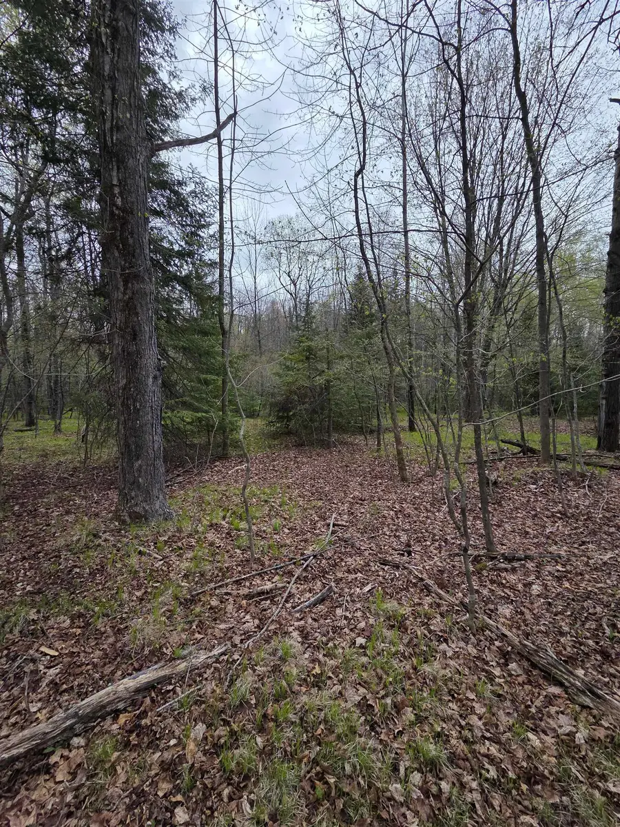 Chapin Road, Wausaukee, WI 54177 - #3