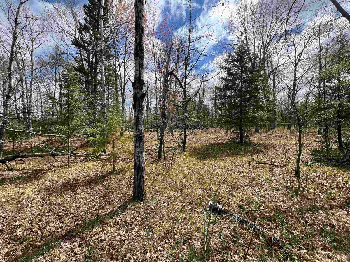Nejedlo Road #2, Wausaukee, WI 54177 - #1