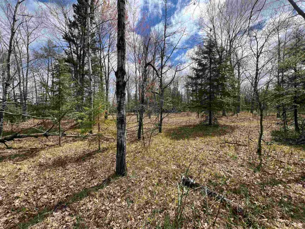 Nejedlo Road #2, WAUSAUKEE, WI 54177