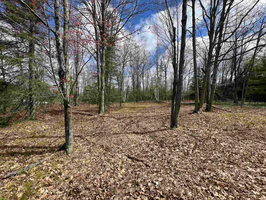 Nejedlo Road #2, Wausaukee, WI 54177 - #2