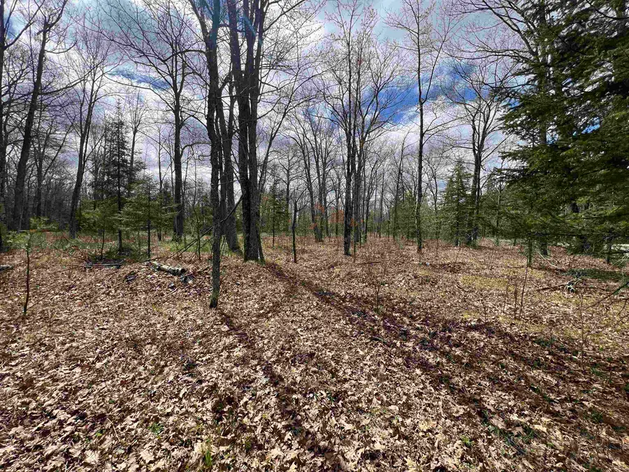 Nejedlo Road #2, Wausaukee, WI 54177 - #3