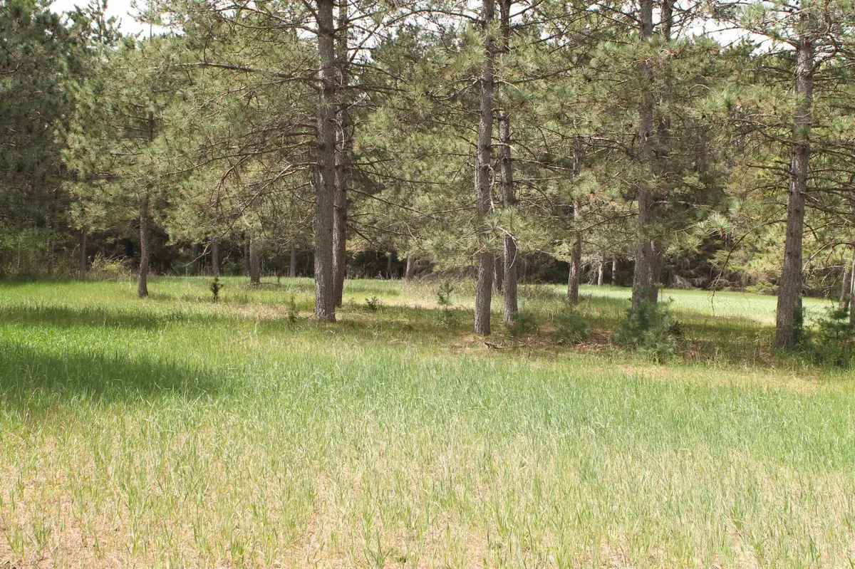 8th Road #1, Westfield, WI 53964-8531 - #1