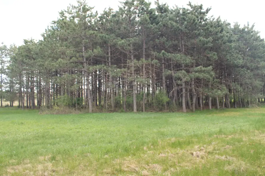 8th Road #1, Westfield, WI 53964-8531 - #3