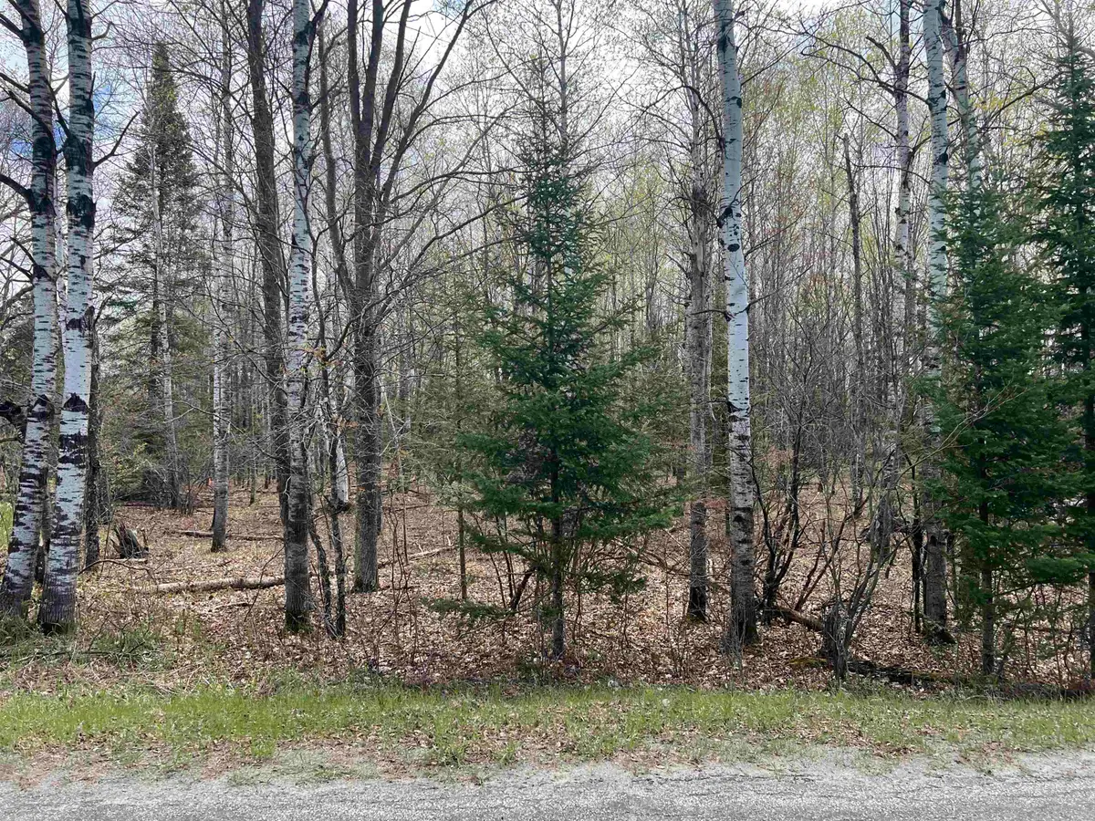 Nejedlo Road #5, Wausaukee, WI 54177 - #1