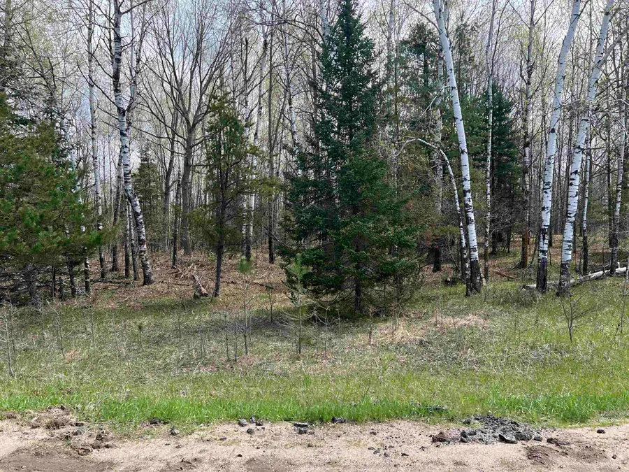 Nejedlo Road #5, Wausaukee, WI 54177 - #2