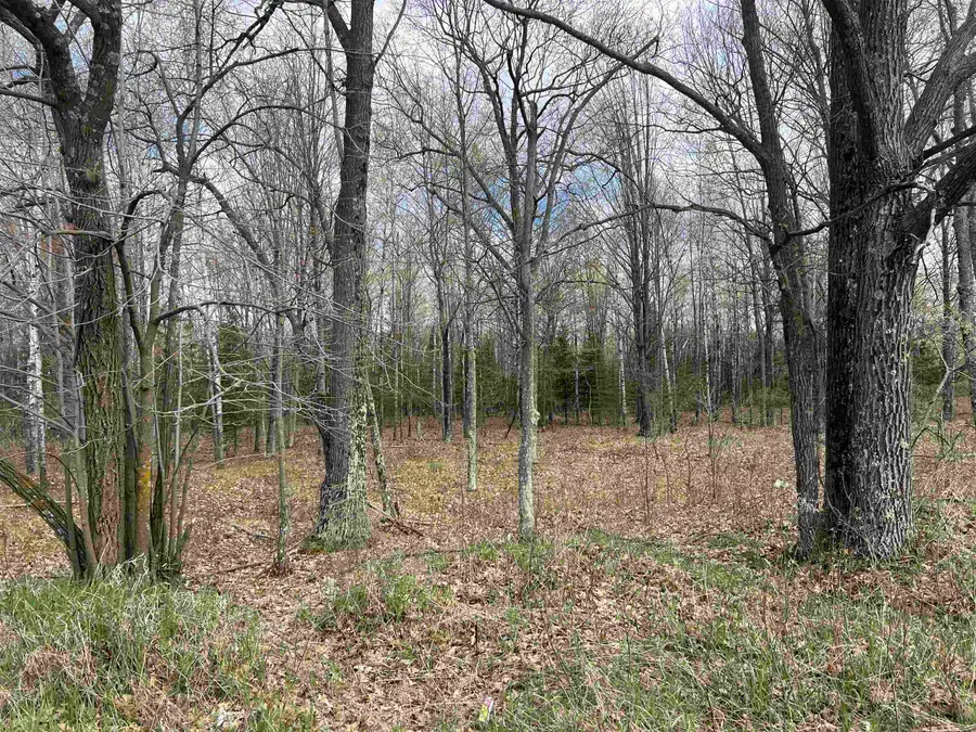 Nejedlo Road #5, Wausaukee, WI 54177 - #3