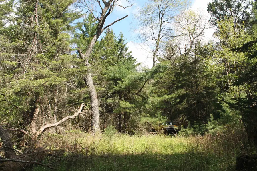 8th Road #3, Westfield, WI 53964-8531 - #2