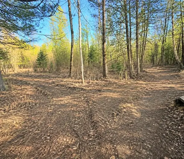12.5 Road, WALLACE, MI 49893
