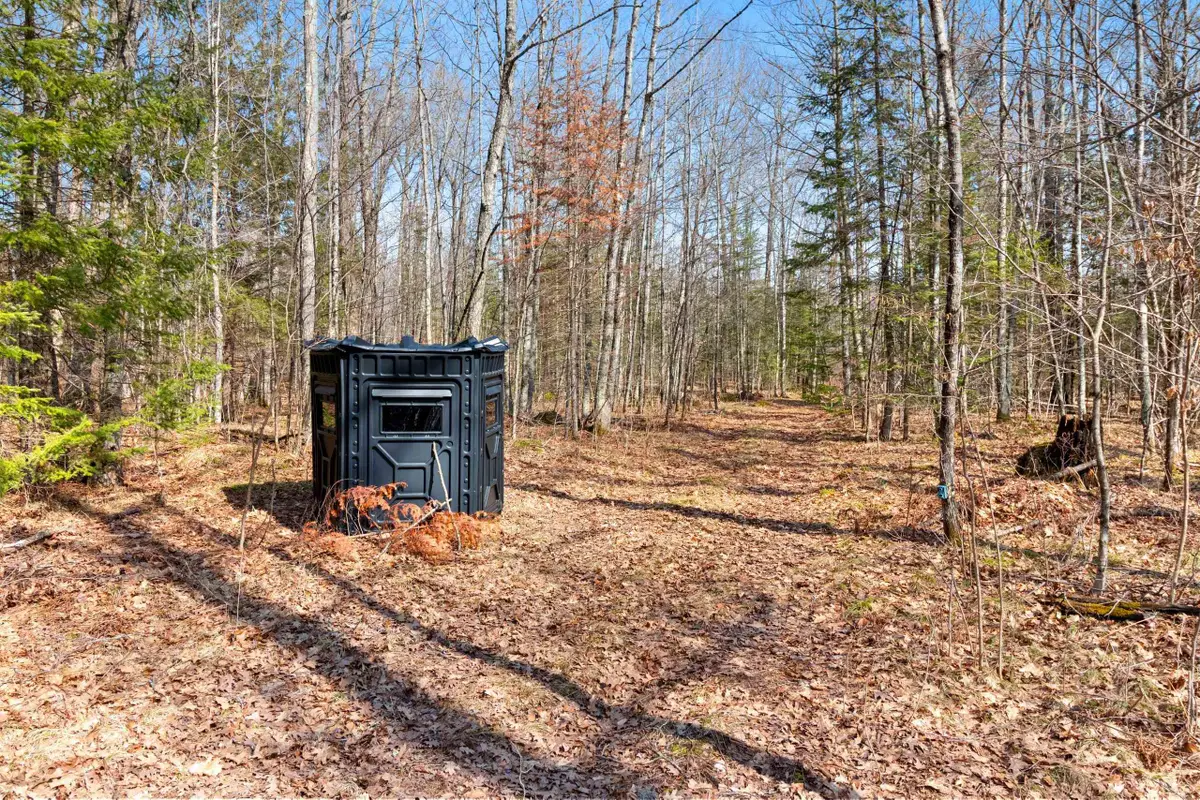 Buettner Road, White Lake, WI 54491 - #1
