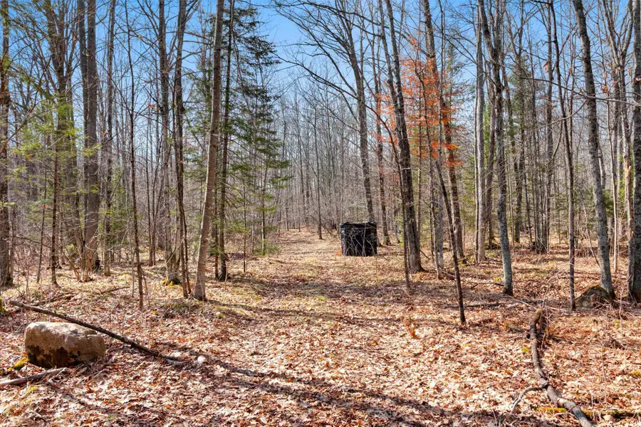 Buettner Road, White Lake, WI 54491 - #3