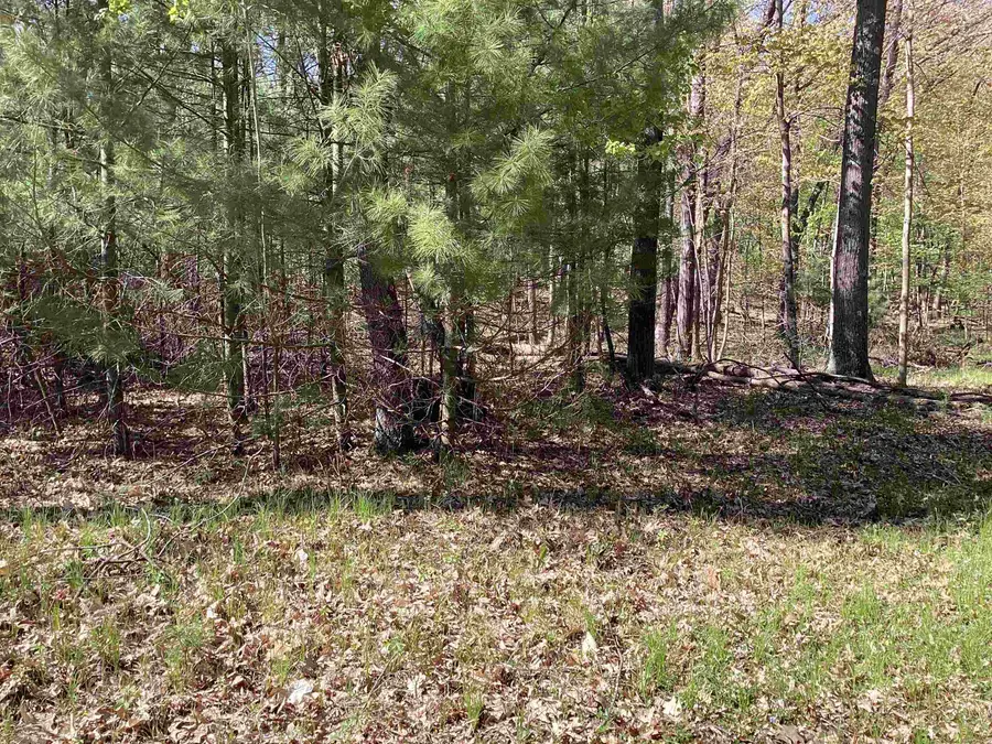 W3006 Ridge Road, Pine River, WI 54965 - #3