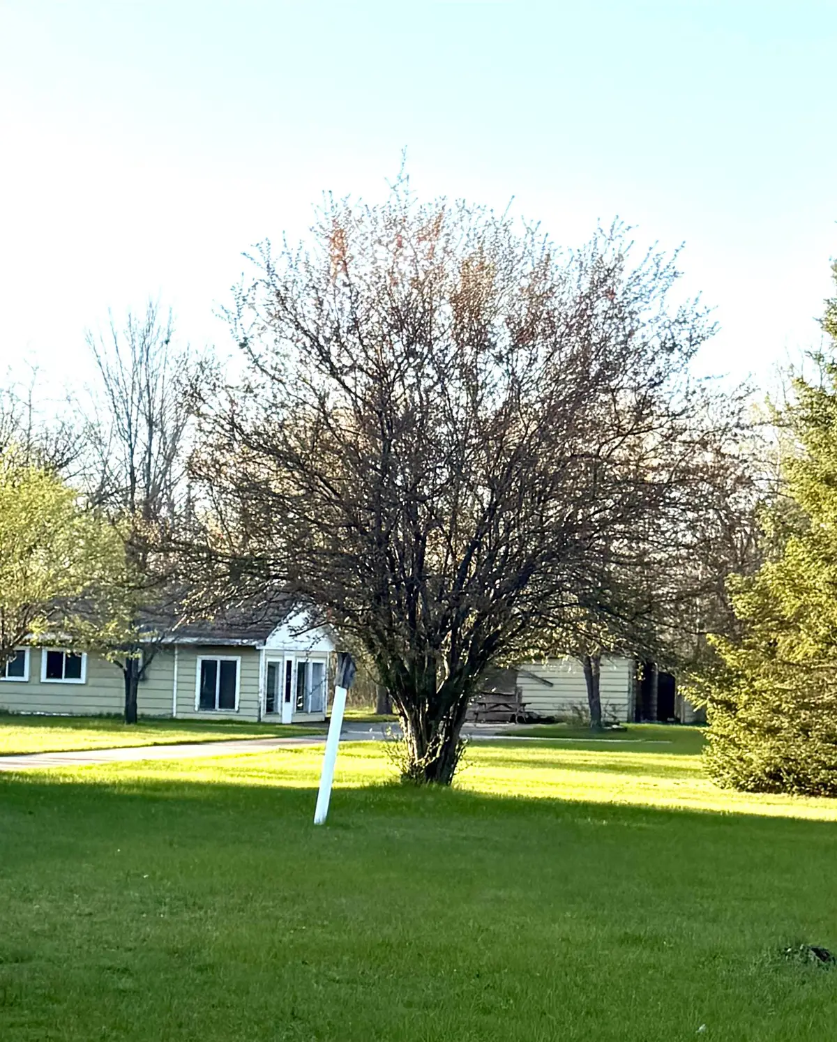 W11762 Rays Lane, Crivitz, WI 54114 - #1