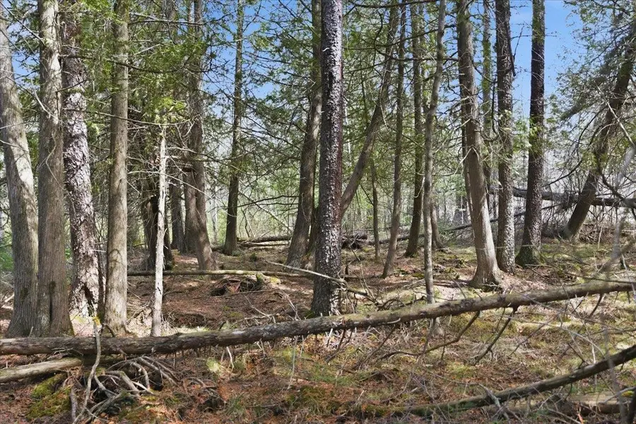 Pratt Junction Road, Pelican Lake, WI 54463 - #2