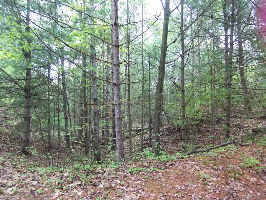 County Road S, Sobieski, WI 54171-0000 - #3