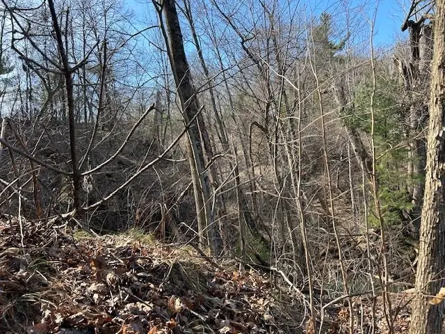 State Hwy 12, Black River Falls, WI 54615 - #3