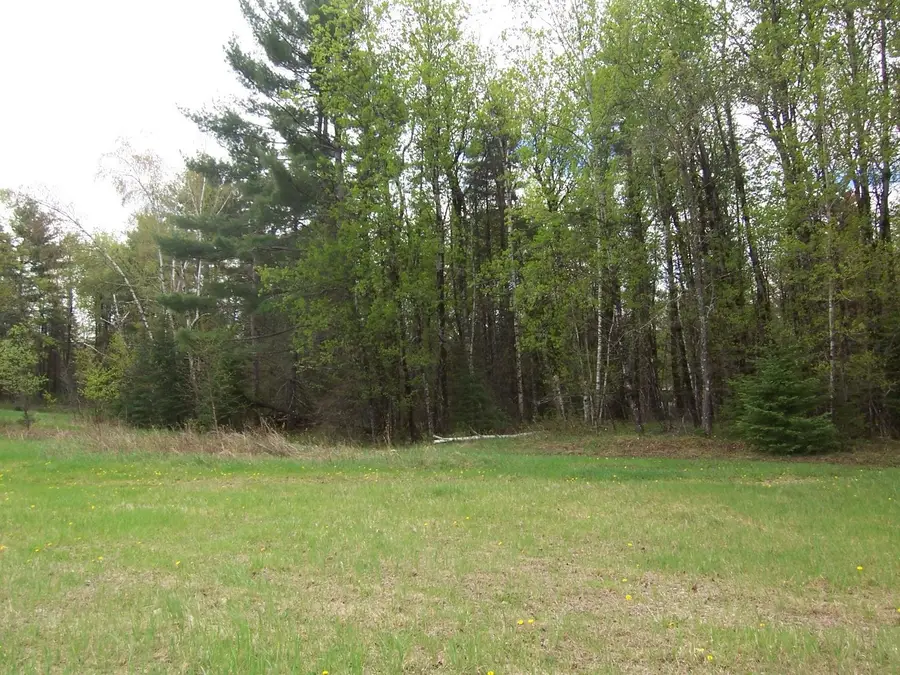 Kosir Lane, Athelstane, WI 54104-0000 - #3