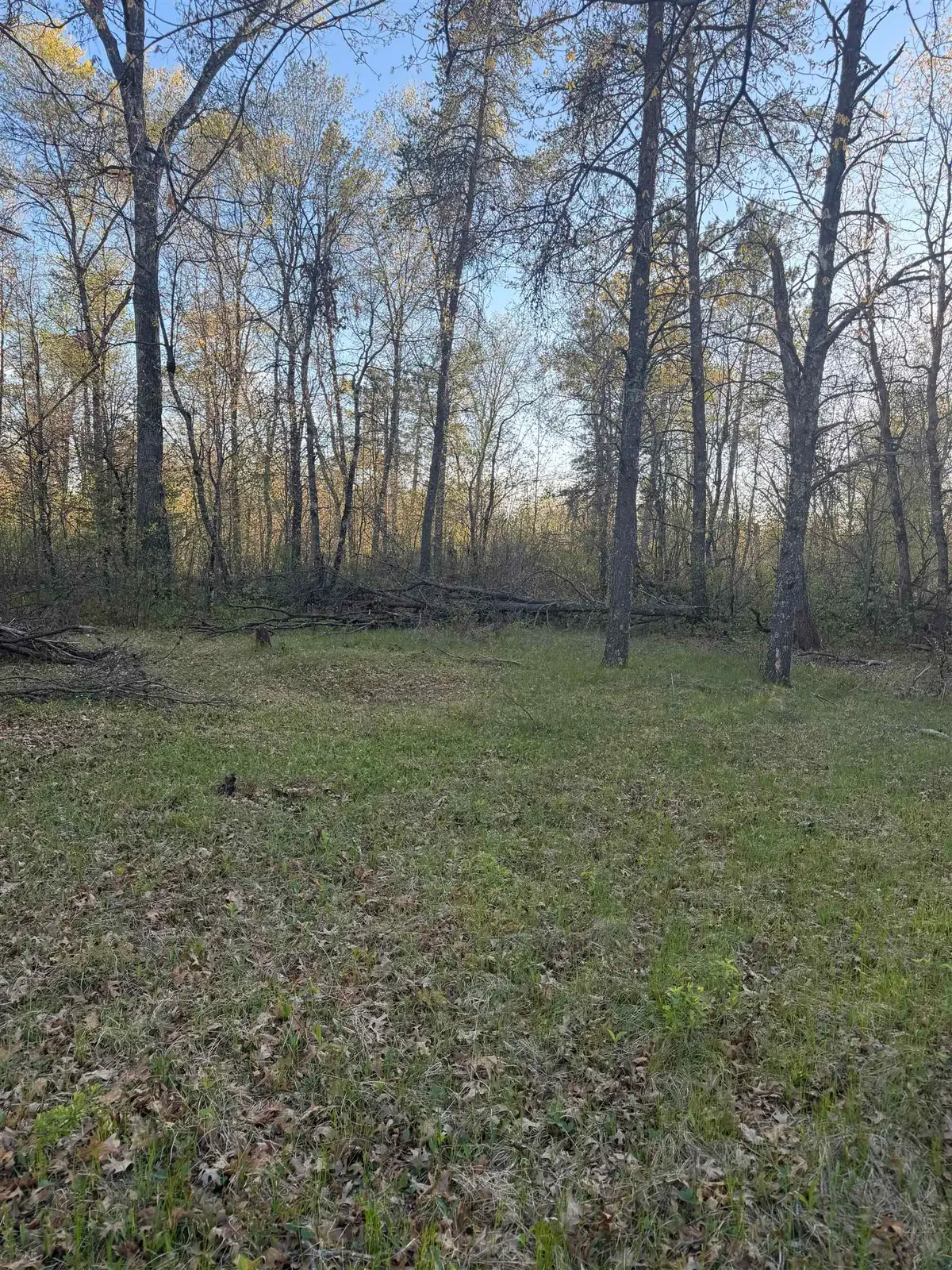 Huigen Lane, Crivitz, WI 54114 - #1
