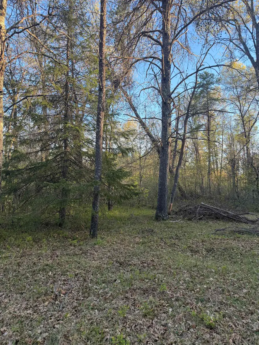 Huigen Lane, Crivitz, WI 54114 - #2