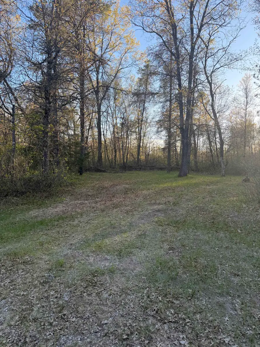 Huigen Lane, Crivitz, WI 54114 - #3