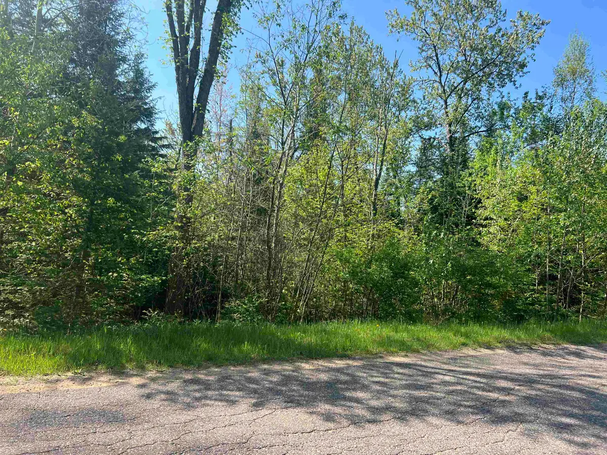 Forest Hill Drive, Townsend, WI 54175 - #1