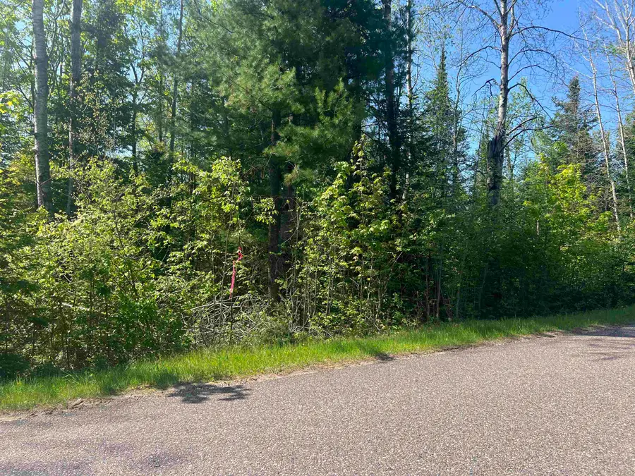 Forest Hill Drive, Townsend, WI 54175 - #2