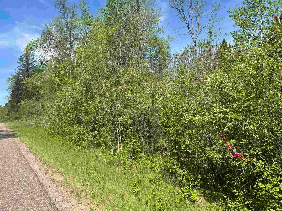 Forest Hill Drive, Townsend, WI 54175 - #3