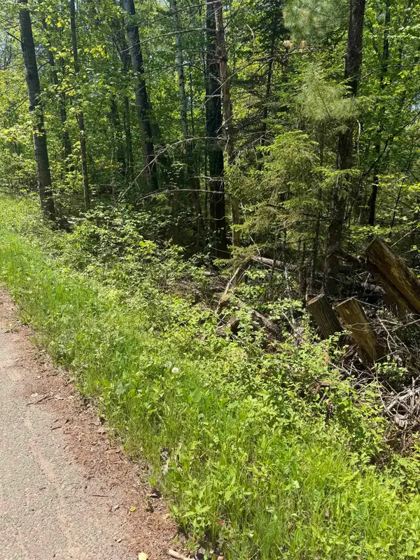 Lower Dam Road #4 & 5, MOUNTAIN, WI 54149