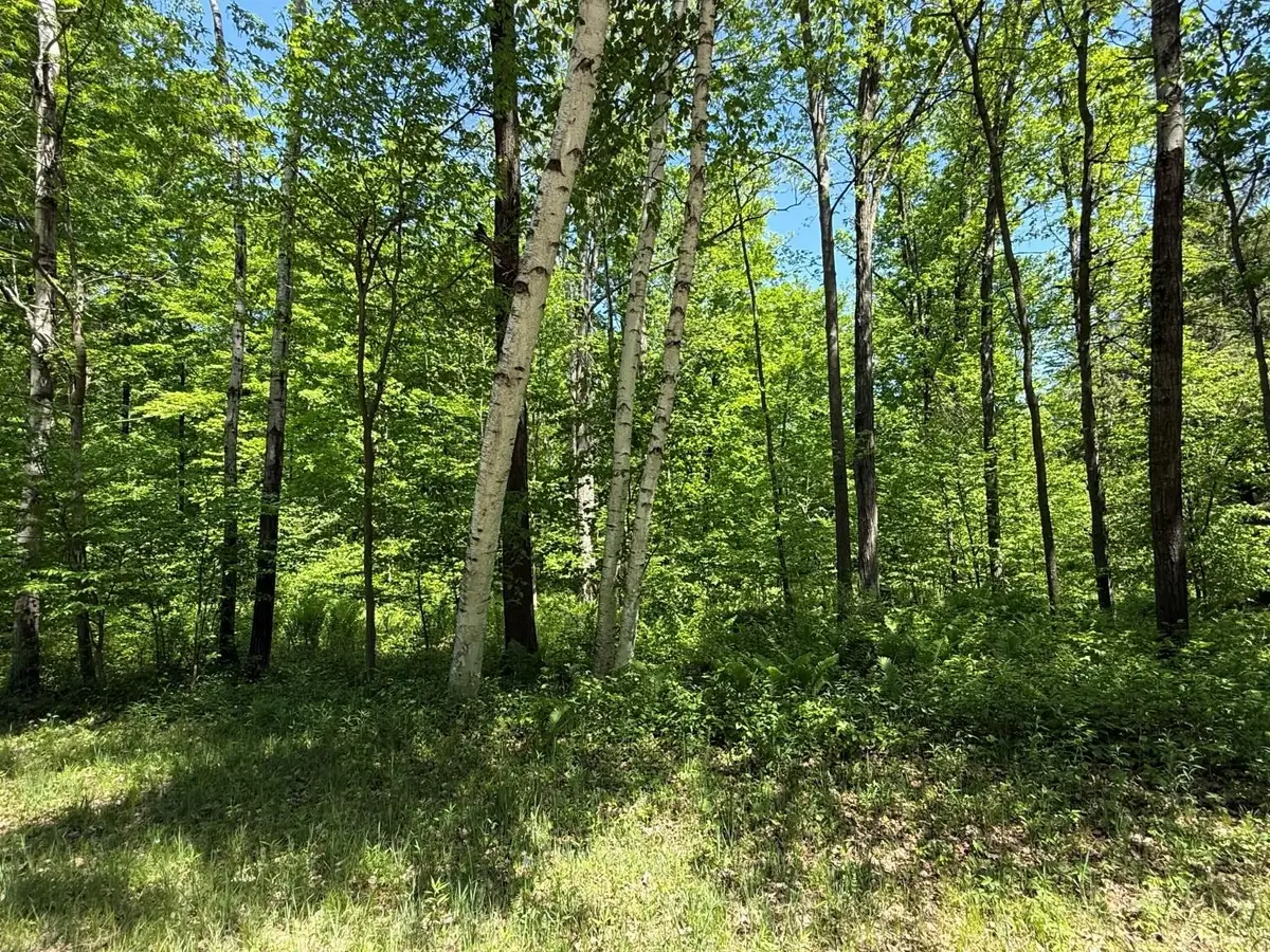 Wilderness Trail #1, Green Bay, WI 54313 - #1
