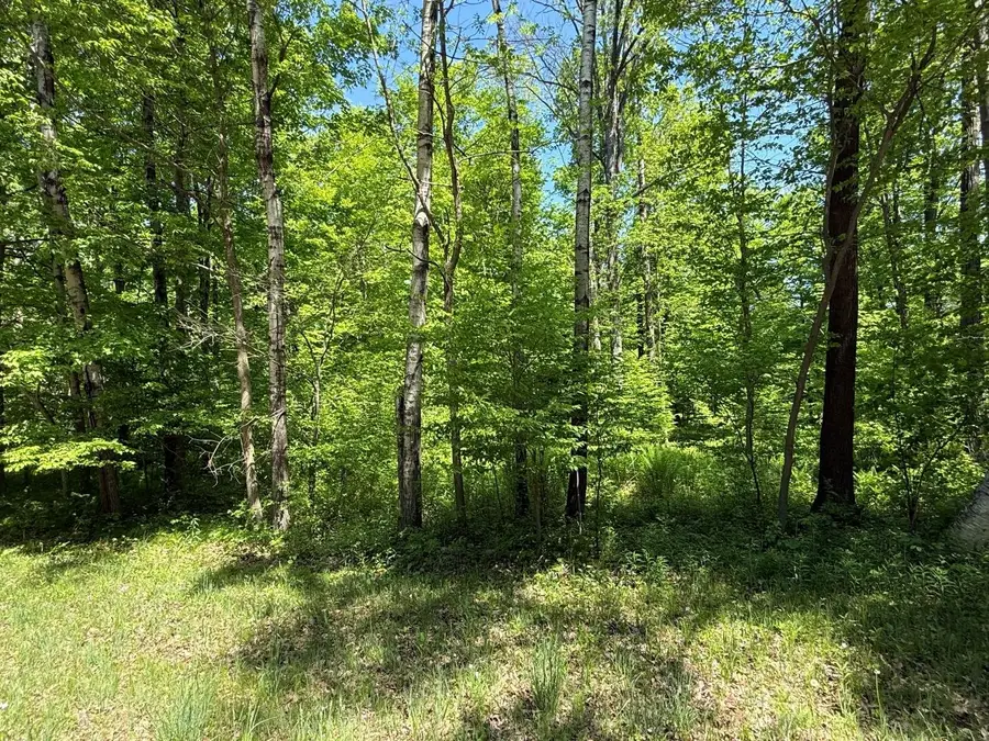 Wilderness Trail #1, Green Bay, WI 54313 - #2