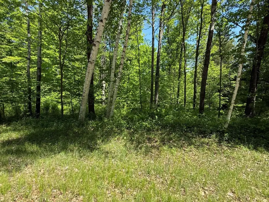 Wilderness Trail #1, Green Bay, WI 54313 - #3