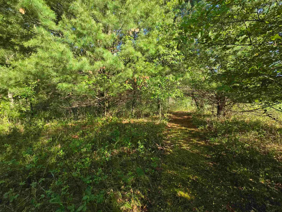 W8642 Bighorn Avenue, Wautoma, WI 54982 - #3