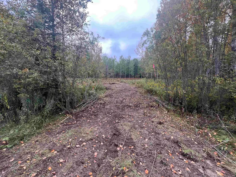 Dream Lake Road #6 & 7, Tipler, WI 54542 - #3