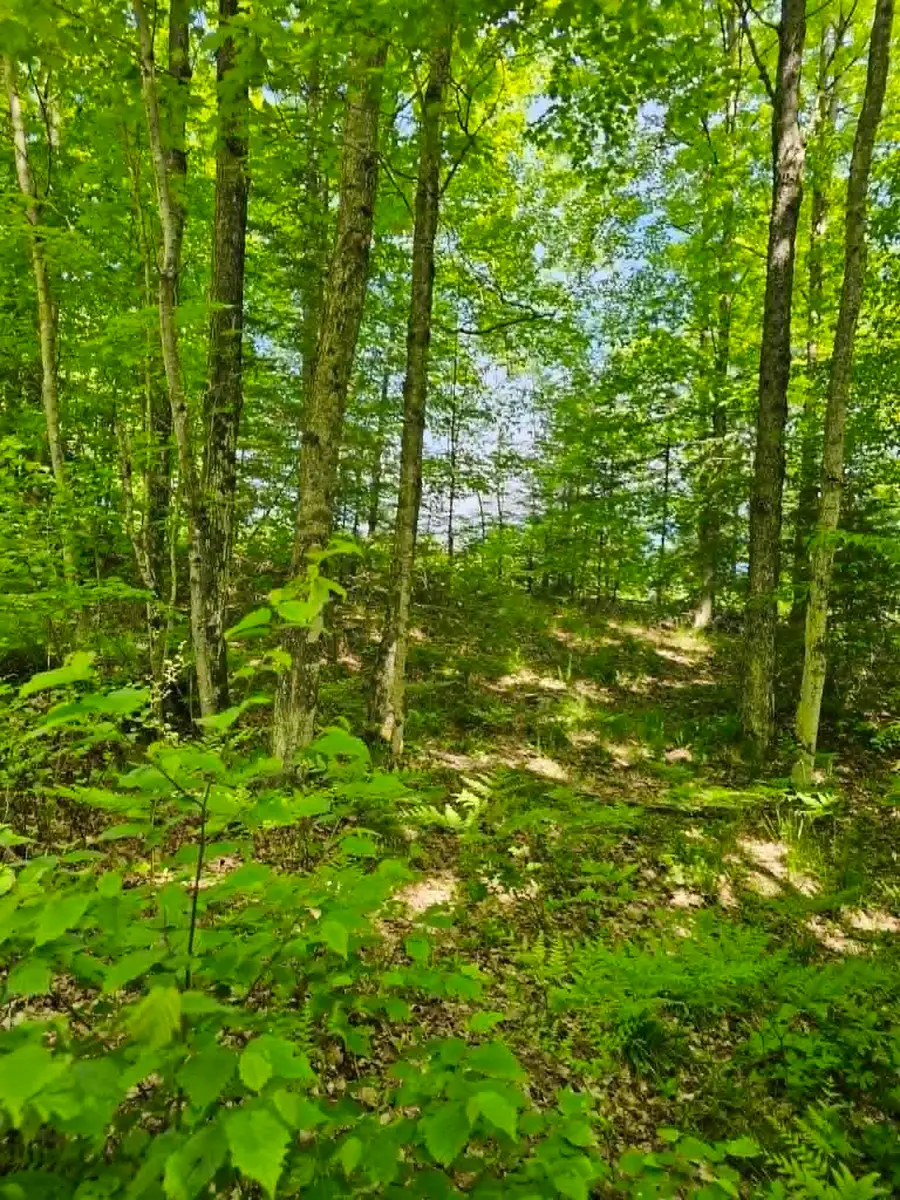 W Herzog Road, Iron Mountain, MI 49801 - #3