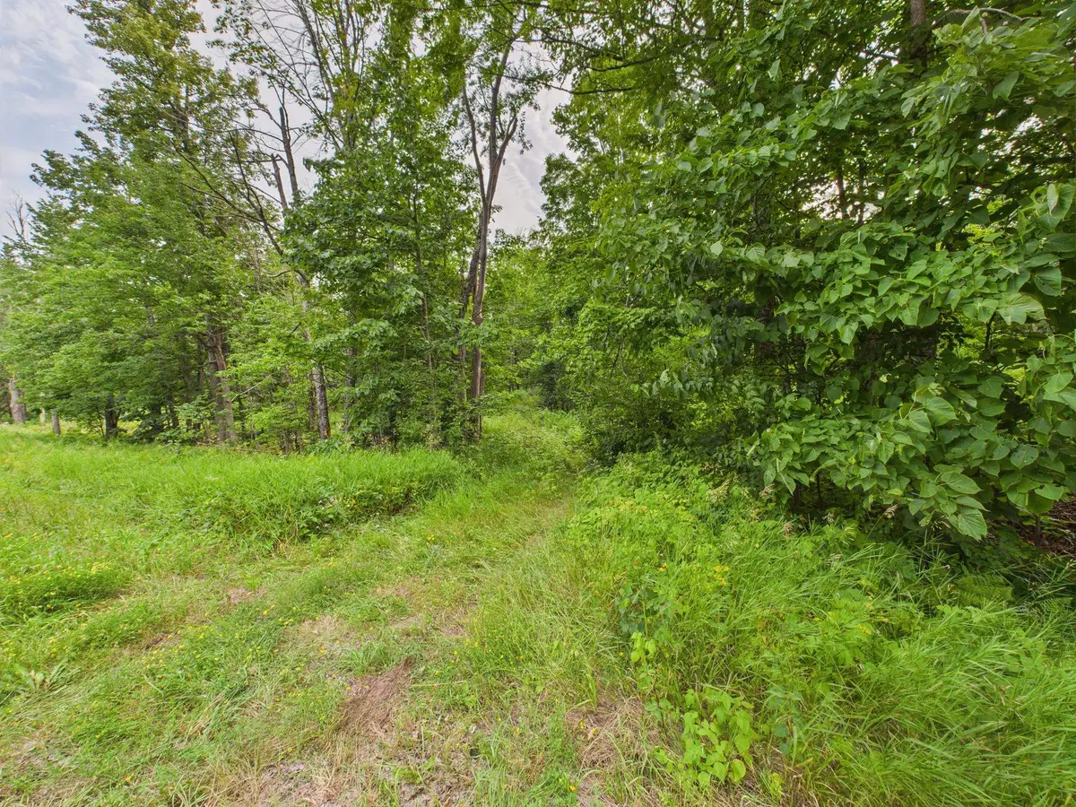 Hwy 139, Argonne, WI 54511 - #1