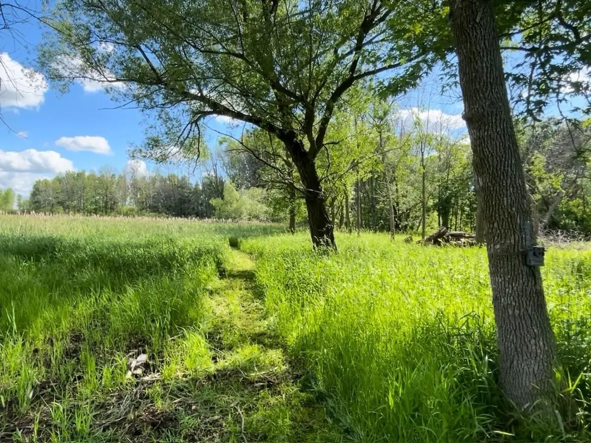 County Rd B #2, Winneconne, WI 54986 - #1