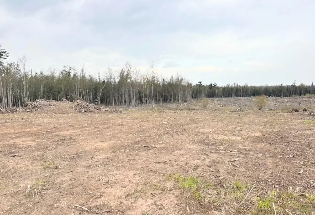 12.5 Road, Wallace, MI 49893 - #1