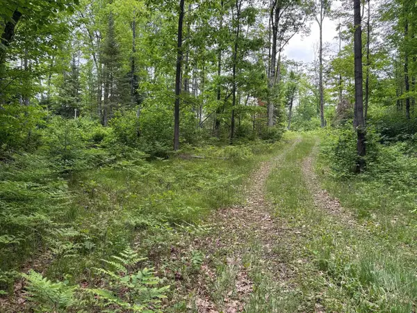 W15816 Fawn Acres Road, GOODMAN, WI 54125-0000