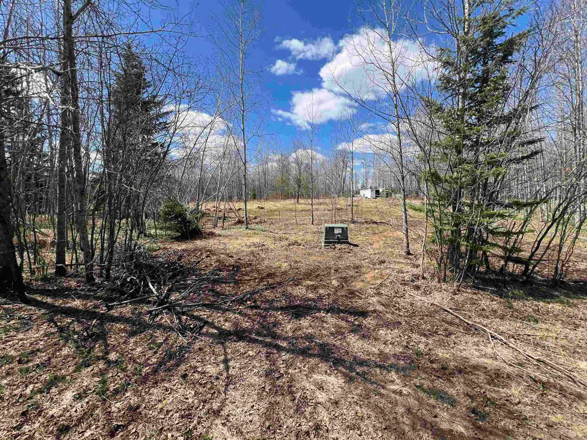 Dream Lake Road #7, Tipler, WI 54542 - #1