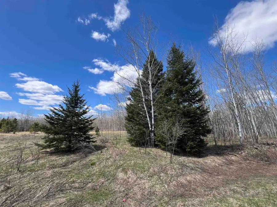 Dream Lake Road #7, Tipler, WI 54542 - #2