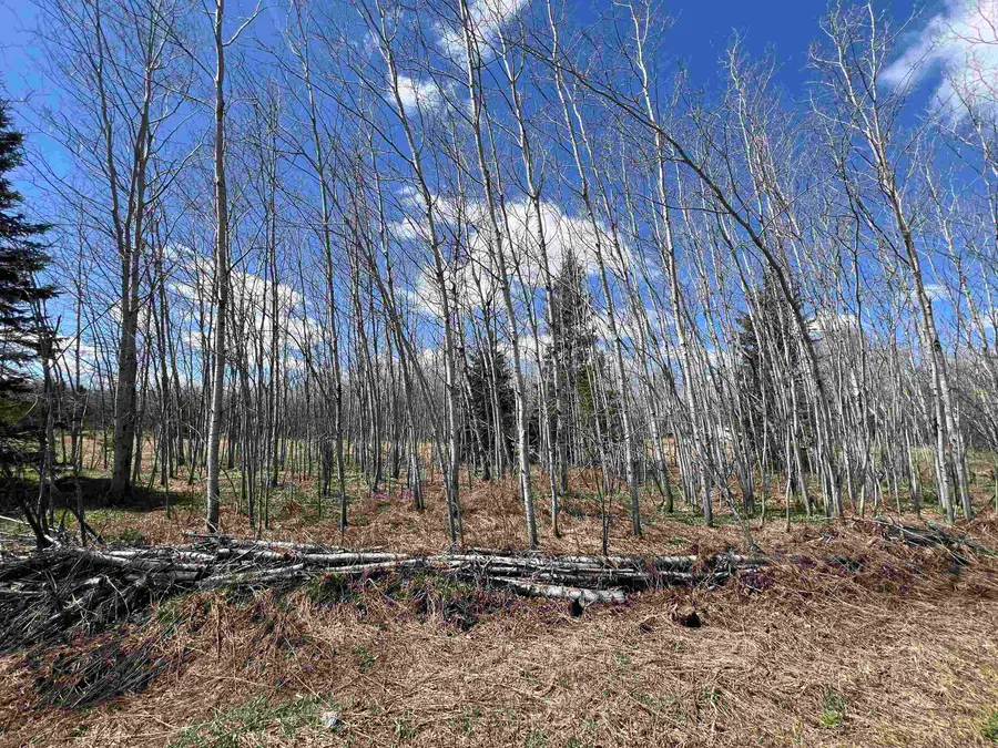 Dream Lake Road #7, Tipler, WI 54542 - #3