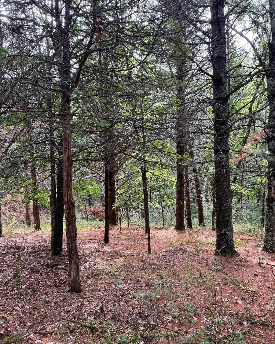 19th Road #1, Neshkoro, WI 54960 - #2