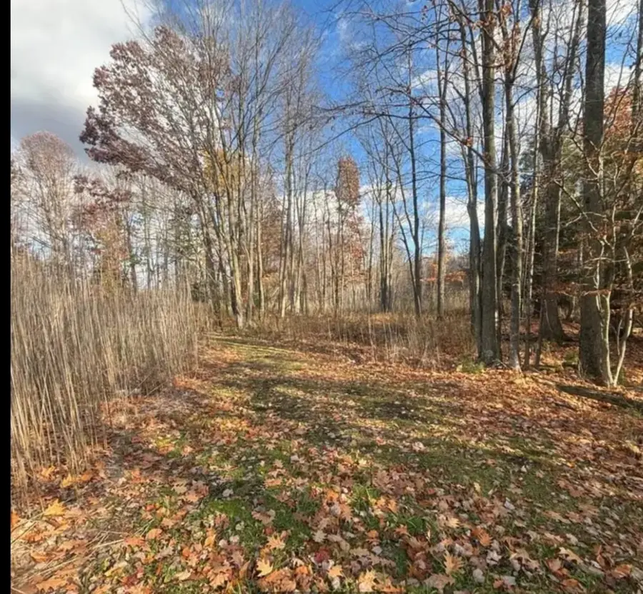 Spring Lake Drive #2, Sobieski, WI 54171 - #3