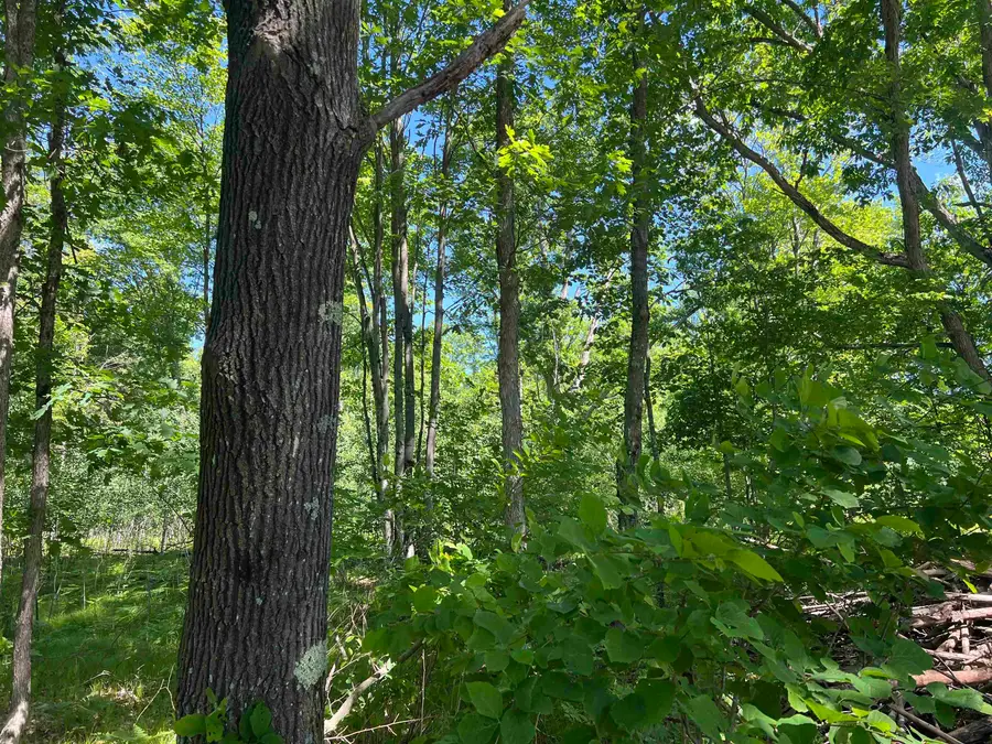 Rhett Lane #15, Wausaukee, WI 54177 - #3
