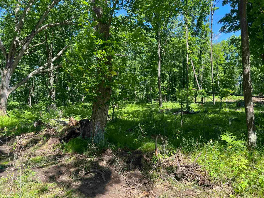 Rhett Lane #17, Wausaukee, WI 54177 - #2