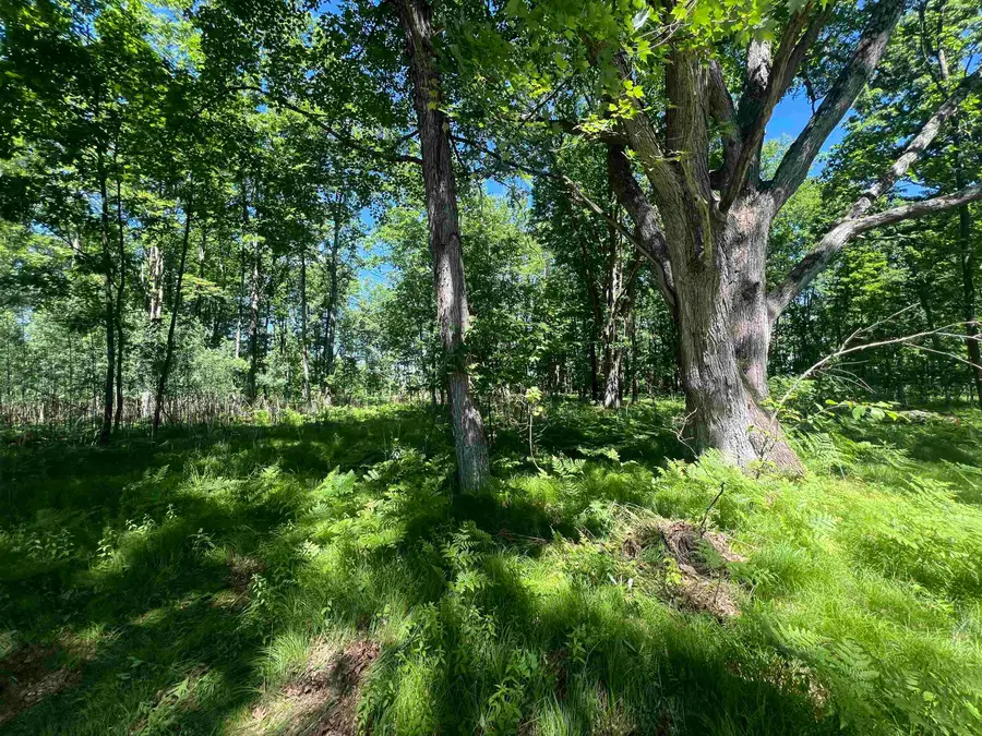 Rhett Lane #17, Wausaukee, WI 54177 - #3