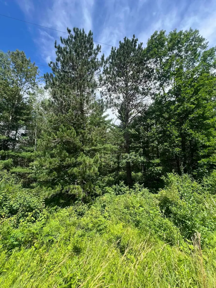 Us 141 Hwy, Crystal Falls, MI 49920 - #2