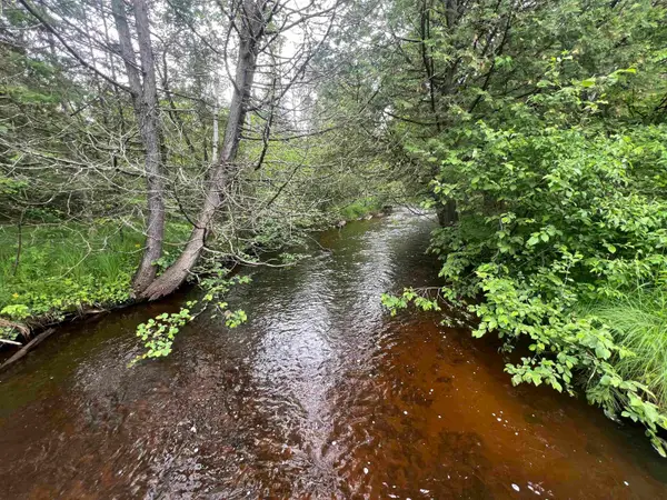 Bielak Road #1, WAUSAUKEE, WI 54177