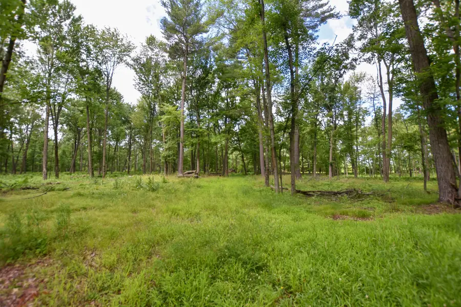County Road U, Weyauwega, WI 54983-0000 - #2