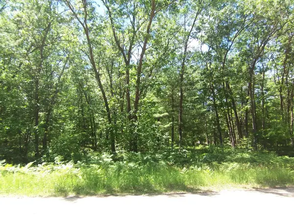 Ann Court #79, SHAWANO, WI 54166-1822