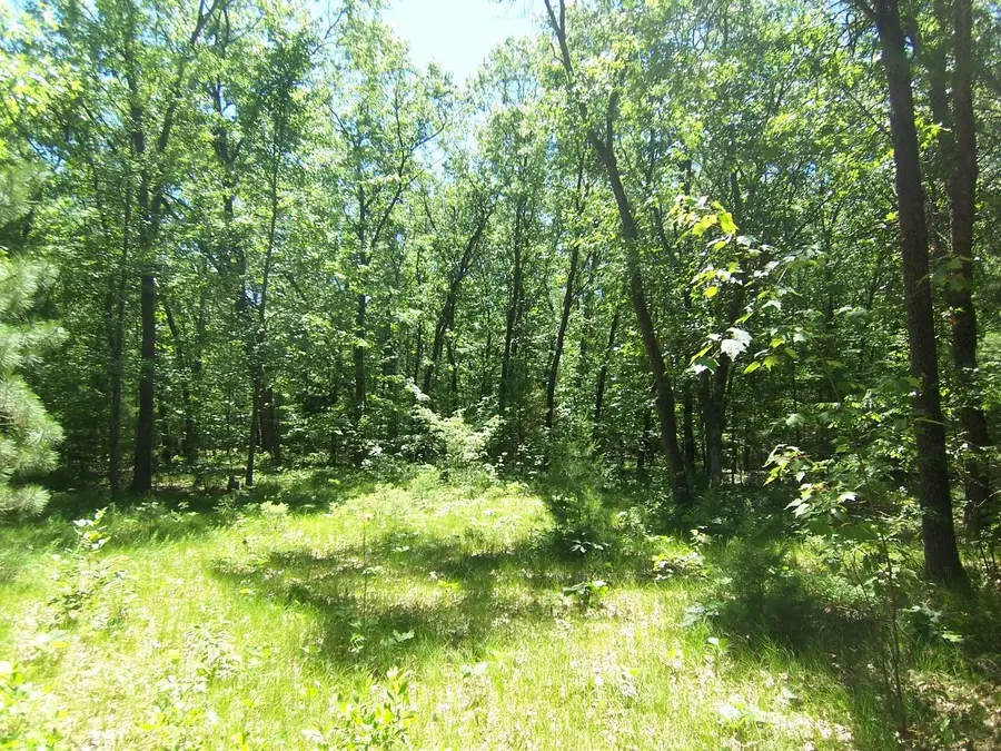 Ann Court #79, Shawano, WI 54166-1822 - #3